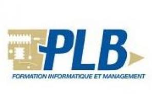 PLB Consultant