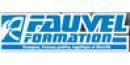Fauvel Formation
