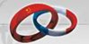 France China Link Consulting