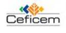 Ceficem