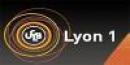Institut Universitaire de Technologie a - Lyon1