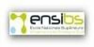 l'École Nationale Supérieure d'Ingénieurs de Bretagne Sud