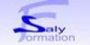 Saly Formation