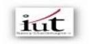 Iut Nancy Charlemagne