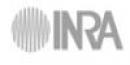 Inra