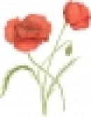 L´Ecole des Plantes de Paris