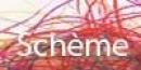 Schème