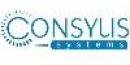 Consylis Formation