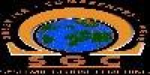 Systemic Global Coaching