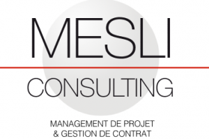 Mesli Consulting