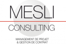 Mesli Consulting