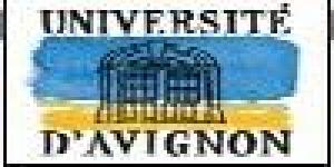 UAvignon - Centre d´Enseignement et de Recherche en Informatique