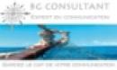 BG - Consultant