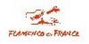 Flamenco En France