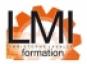 LMI Formation