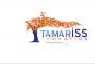 Tamariss Formation