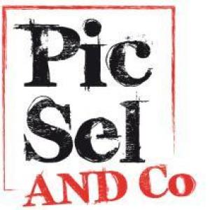 PicSel And Co
